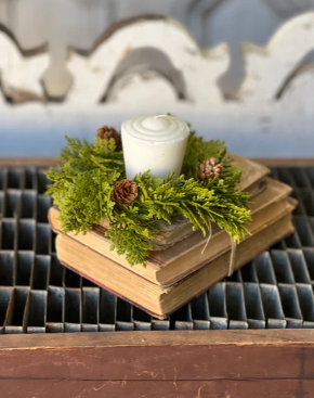 Leyland Cypress Collection