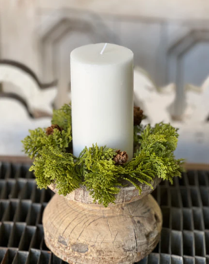 Leyland Cypress Collection