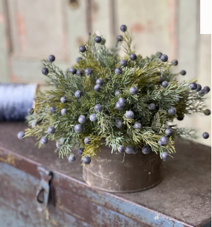 Midnight Juniper Collection