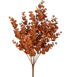 Autumnal Eucalyptus Bush