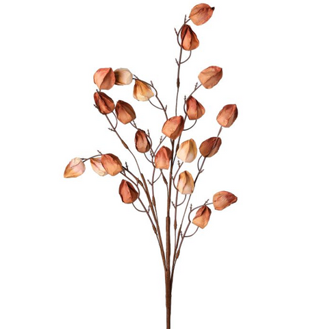 CHINESE LANTERN STEM