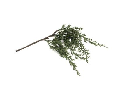 Mini Juniper Dripping Cascade