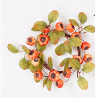 Mixed Pods W. Leaves