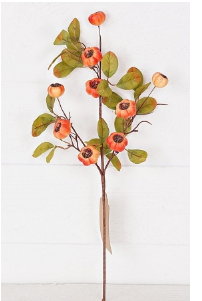 Mixed Pods W. Leaves