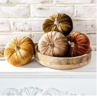 Velvet Luxury Pumpkin (2 sizes)