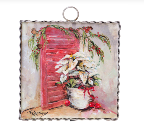 Mini Rozie's White Poinsettia's