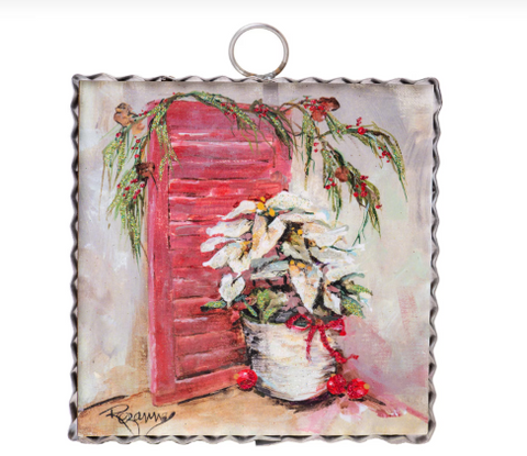 Mini Rozie's White Poinsettia's