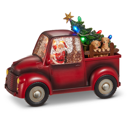 Santa and Dog in Lighted Water