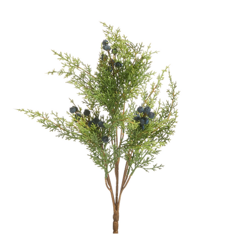 Juniper with Berries Bundle