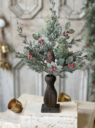 Holly Hill Collection