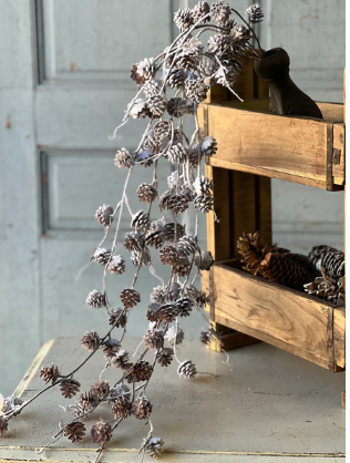 Snow Creek Cone Collection