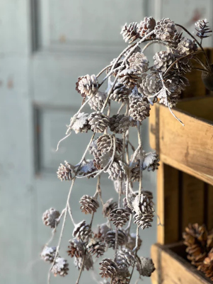 Snow Creek Cone Collection