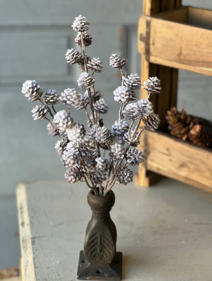 Snow Creek Cone Collection