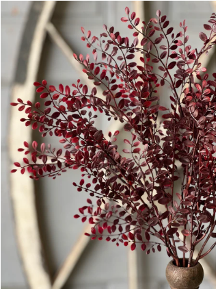 Red Ruta Rue Collection