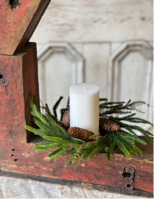 Pencil Pine Collection