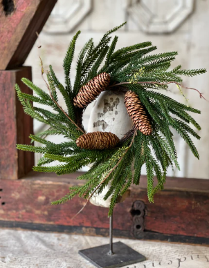 Pencil Pine Collection