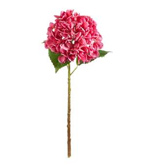 19" Hydrangea Stem (pink or white)