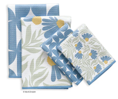 Blue Coneflower Collection