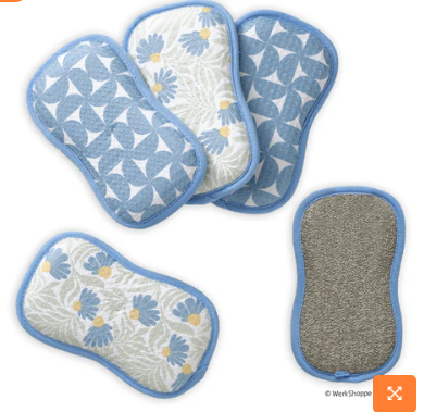 Blue Coneflower Collection