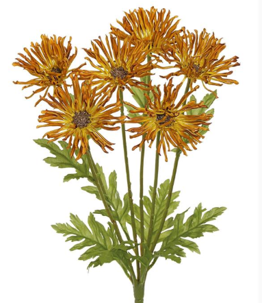 GARDEN MUM BUSH X6 (two colors)