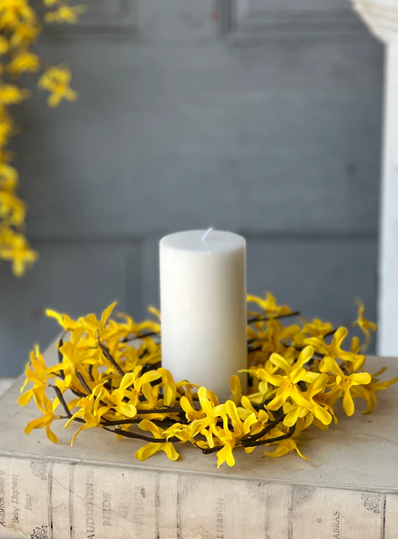 Sunrise Forsythia Collection
