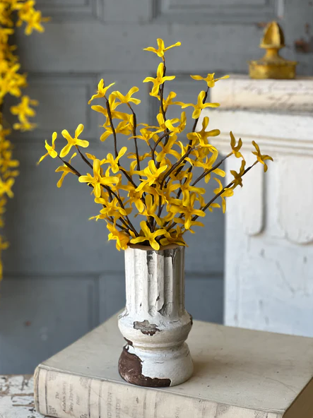 Sunrise Forsythia Collection