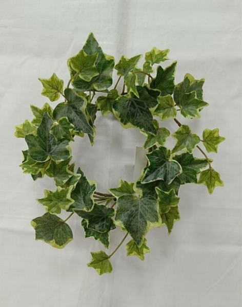 English Ivy Collection