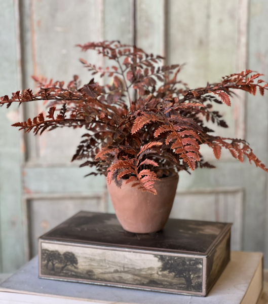 Autumnal Fern Potted Plant