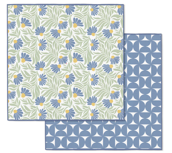 Blue Coneflower Collection
