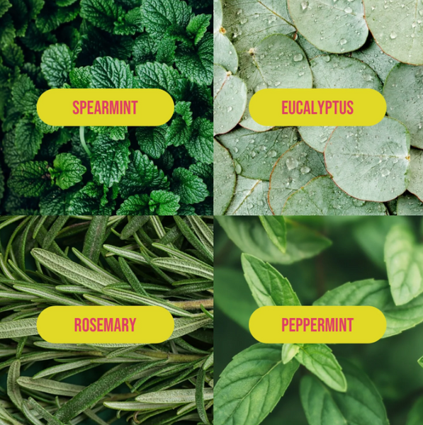 Bougie Babe – Mini Hand Crème (2 oz.)