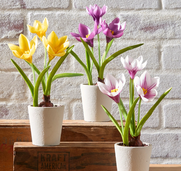 Real Touch Potted Crocus Bulb (3 colors)