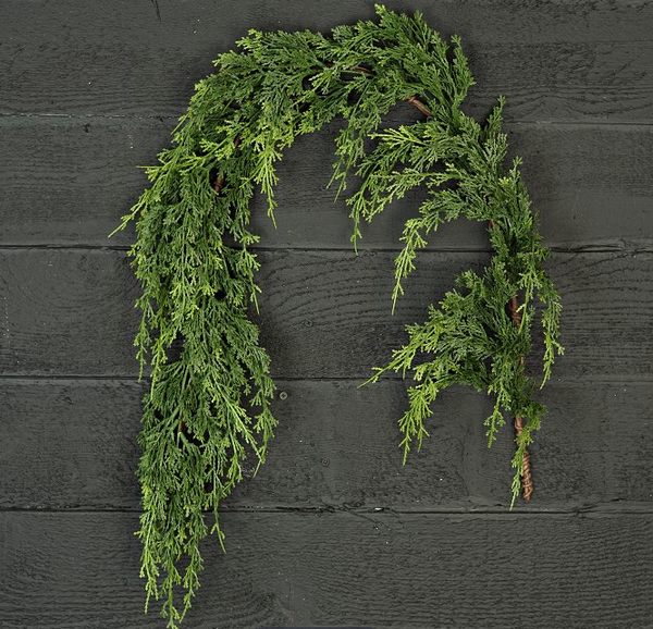 Mixed Green Cypress Pine Collection (4 pieces)