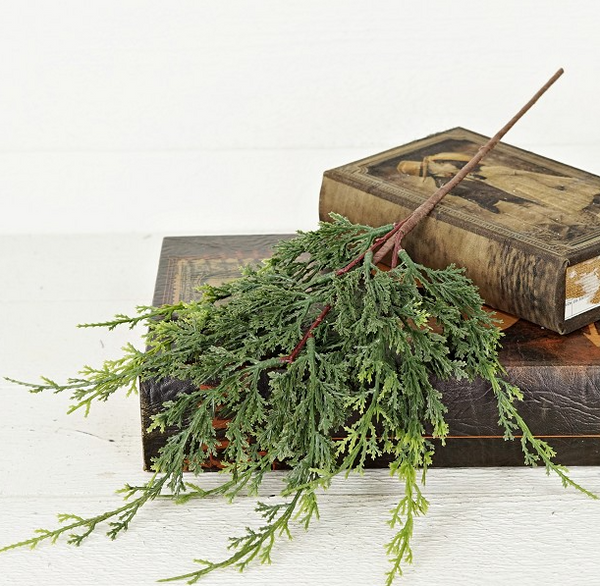 Mixed Green Cypress Pine Collection (4 pieces)