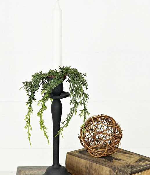 Mixed Green Cypress Pine Collection (4 pieces)