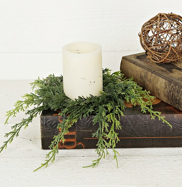 Mixed Green Cypress Pine Collection (4 pieces)