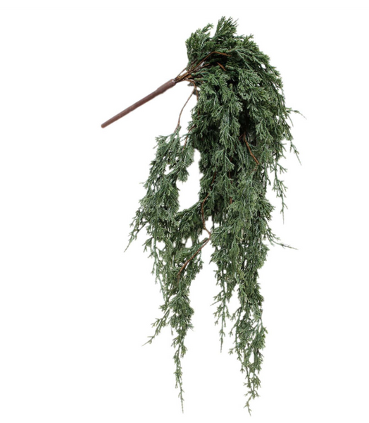 Dark Green Juniper Collection