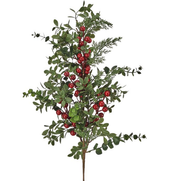 Eucalyptus Pine Berry Collection