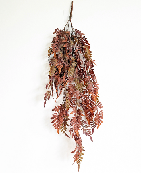 Fern Leaf Hanging Bush - Rust
