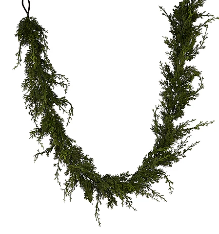 Juniper w/ Berry Collection (3 pieces)