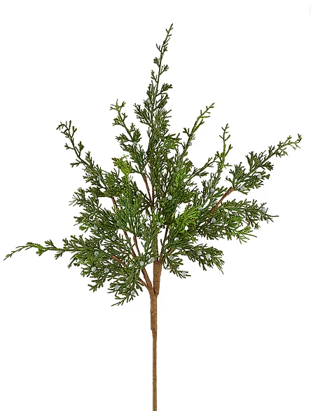 Juniper w/ Berry Collection (3 pieces)