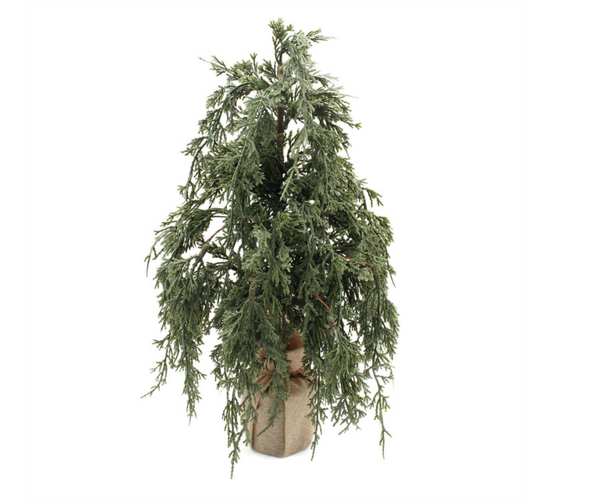 Dark Green Juniper Tree (2 sizes)
