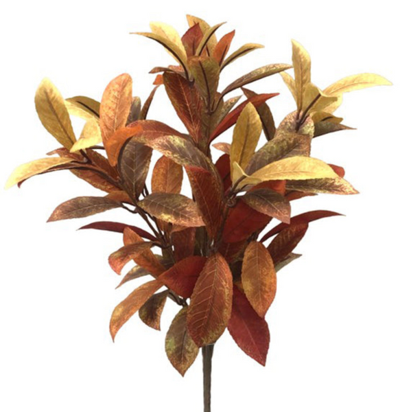 Laurel Leaf Collection (2 Pieces)