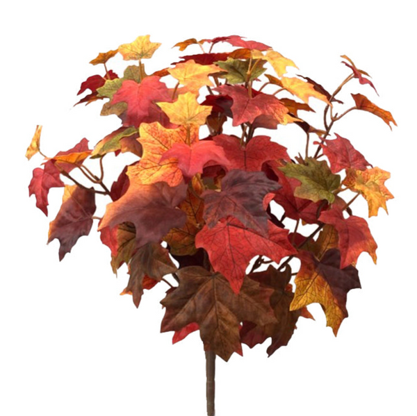 Maple Leaf Collection (2 Pieces)
