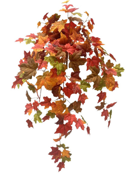 Maple Leaf Collection (2 Pieces)