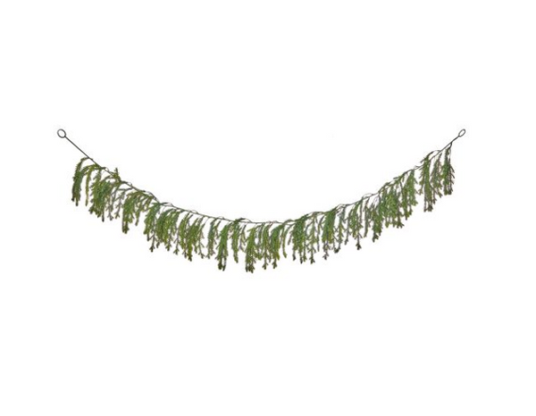Weeping Noble Fir Collection (2 pieces)