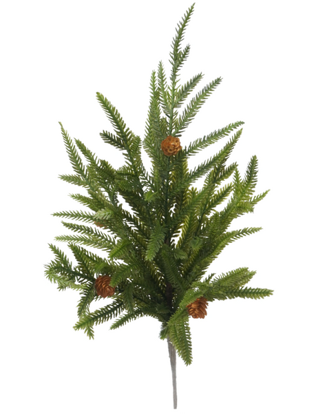 Norfolk Pine w/ Mini Cone Collection (4 Styles)