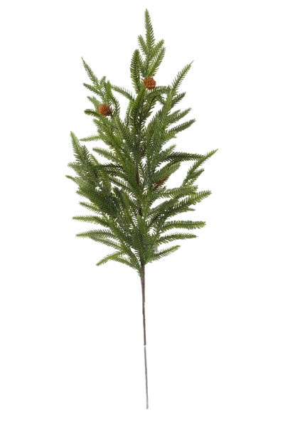 Norfolk Pine w/ Mini Cone Collection (4 Styles)