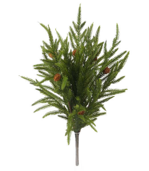Norfolk Pine w/ Mini Cone Collection (4 Styles)