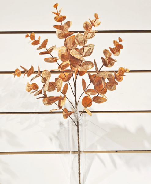 Eucalyptus Orange/Brown Collection (2 Pieces)