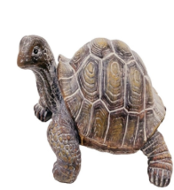 Poly Brown Turtle